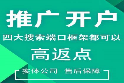 百度SEO推广公司案例精选：助力企业快速崛起
